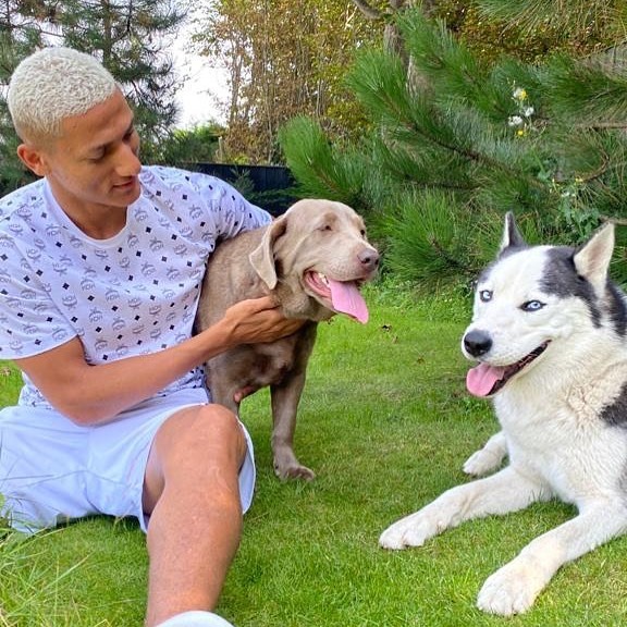 Richarlison e seus cachorros. Reprodução/Facebook