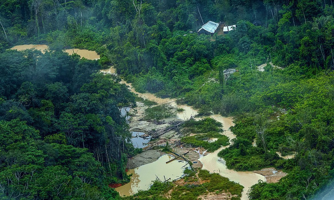 Ataque a Terra Yanomami