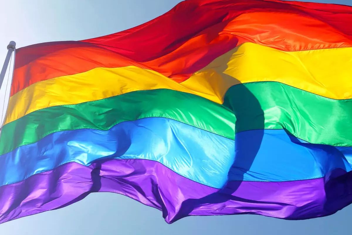 Entenda o que significa a sigla LGBTQIAPN+ (Reprodução/istock)